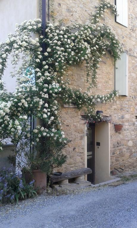 Agriturismo Il Gelso Traversetolo Zewnętrze zdjęcie