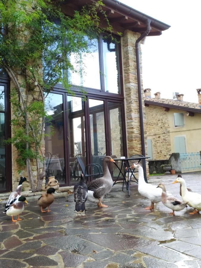 Agriturismo Il Gelso Traversetolo Zewnętrze zdjęcie